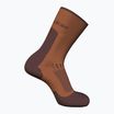Calze da trekking Icebreaker da uomo Merino Hike+ Light Crew dusty clay/carob