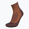 Calzini da trekking Icebreaker Merino Hike+ Light Mini dusty clay/carob da uomo