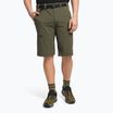 Pantaloncini da trekking da uomo The North Face Speedlight nuovo taupe verde