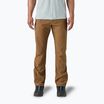 Pantaloni da trekking Patagonia Terravia Trail Regular marrone coriandolo da uomo
