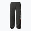 Pantaloni da uomo The North Face Varsity Graphic grigio erica medio