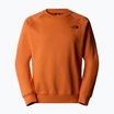 Felpa da uomo The North Face Raglan Box Nse Crew iron bronze/tnf nero