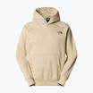 Felpa uomo The North Face Raglan Box Nse Hoodie ghiaia/marrone fumé