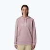 The North Face felpa con cappuccio Drew Peak Light da donna in metallo rosa/bianco dune