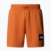 Pantaloncini da trekking da uomo The North Face Box Nse Regular iron bronze/tnf bronze