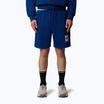 Pantaloncini da trekking da uomo The North Face Box Nse Regular estate blu/tnf bianco
