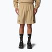 The North Face Mountain Cleanup Pantaloncini rilassati in pietra cachi