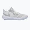 Nike Zoom Hyperspeed Court SE scarpe smmit bianco / argento metallico / platino puro