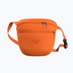 Arc'teryx Mantis 2 2,5 l verve sachet