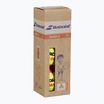 Palline da tennis Babolat Orange Box 3 pz. giallo
