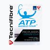 Fasce per racchette da tennis Tecnifibre Contact Pro 3 pz. bianco