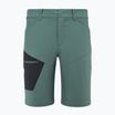 Pantaloncini da uomo Millet Wanaka Stretch III bottiglia