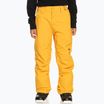 Quiksilver Estate Pantaloni da snowboard per bambini Gioventù giallo minerale