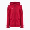 Felpa con cappuccio Capelli Basics Youth Zip Football rosso