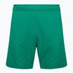 Capelli Sport Cs One Adult Match verde/bianco pantaloncini da calcio per bambini