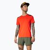 Camicia da corsa DYNAFIT Sky dawn da uomo