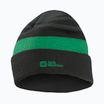 Cappello invernale per bambini Jack Wolfskin Stripy Knit verde ardesia/mistico