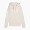 Felpa da donna PUMA ESS No. 1 Logo Hoodie TR alpine snow