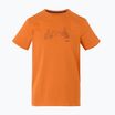Camicia da trekking REGATTA Breezed V fox da uomo