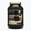 Gainer Fitness Authority Levrone Anabolic Mass 3 kg fragola