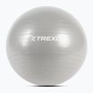 TREXO Gymball TXO-B4Z007-GY 55 cm grigio