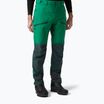 Pantaloni da trekking Helly Hansen da uomo Verglas Tur malachite