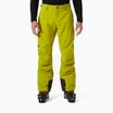 Pantaloni da sci da uomo Helly Hansen Legendary Insulated bright moss