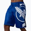 Pantaloncini da allenamento Hayabusa Icon Fight blu/bianco
