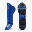 Parastinchi LEONE 1947 Dna blu