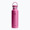 Bottiglia termica Hydro Flask Standard Flex da 620 ml per la barriera corallina