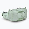Osprey Tempest 6 l menta ghiacciata / verde botanica sacca renale