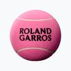 Pallina da tennis Wilson Roland Garros 9 Jumbo rosa autografata