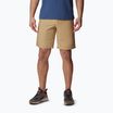 Pantaloncini da trekking Columbia Washed Out crouton da uomo
