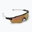 Occhiali da sole Oakley Radar EV Path in carbonio/prizm oro rosa