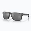 Occhiali da sole polarizzati Oakley Holbrook XL acciaio/prizm black