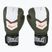 Guantoni da boxe Everlast Prospect 2 verde/bianco