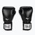 Everlast Pro Style 2 guantoni da boxe neri EV2120 BLK