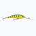 Rapala Deep Tail Dancer sanguinante tiger wobbler