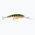 Rapala Deep Tail Dancer flash perch wobbler