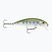 Rapala X-Rap Countdown wobbler XRCD05 trota arcobaleno