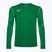 Uomo Nike Dri-FIT Park 20 Crew verde pino/bianco calcio a maniche lunghe