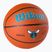 Wilson NBA Team Alliance Charlotte Hornets marrone basket dimensioni 7