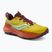 Scarpe da corsa da uomo Saucony Peregrine 13 arroyo