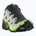Scarpe da corsa da uomo Salomon Speedcross 6 GTX black/alloy/green gecko