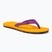 Infradito donna The North Face Base Camp Mini II summit gold purple cactus flower