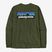 Patagonia P-6 Logo Responsibili Longsleeve da uomo verde torrey pine