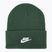 Berretto invernale Nike Peak Futura Beanie abete/bianco