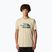 Maglietta The North Face Mountain Line Tee ghiacciata da uomo