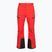 Pantaloni da sci da uomo The North Face Chakal Regular elevation red