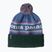 Cappello invernale Patagonia Powder Town park stripe: blu barbagianni